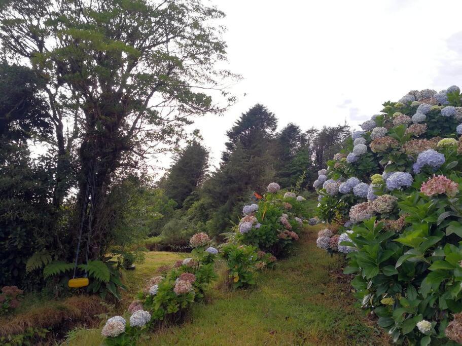 La Cabana Heredia Eksteriør billede